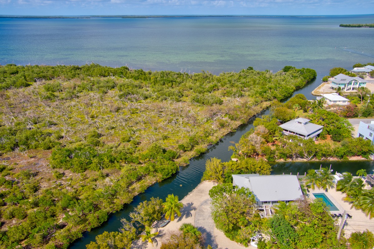 Aerial view to ocean