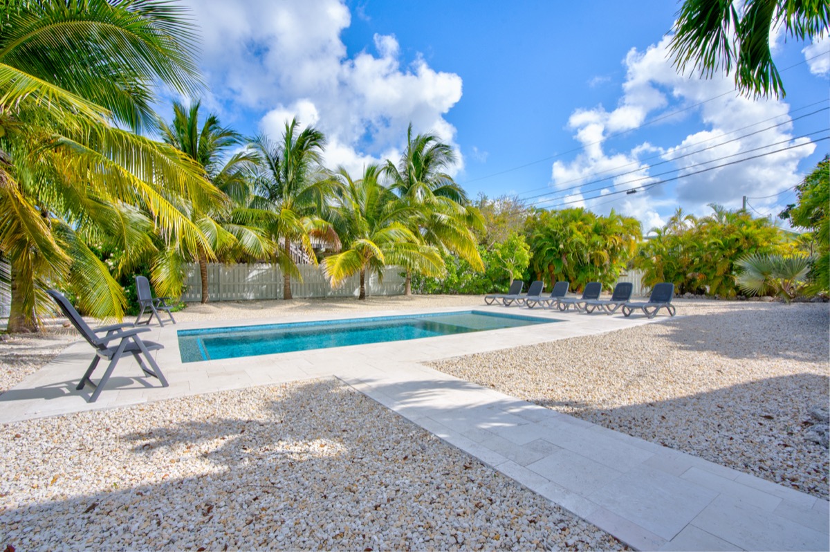 Pool with palm trees